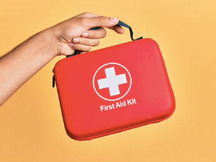 Living Magazines Hunters Landlord First Aid Package