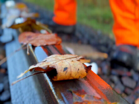 Living Magazines Leaf busting trains October 2022