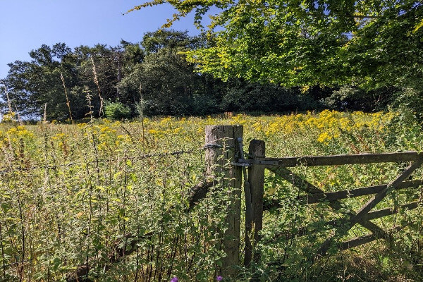Leighton Buzzard Road near Piccott’s End