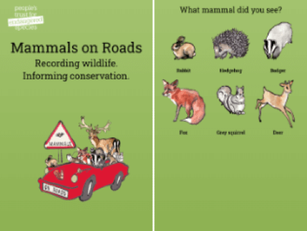 Living Magazines Mammals on Roads Wildlife Survey