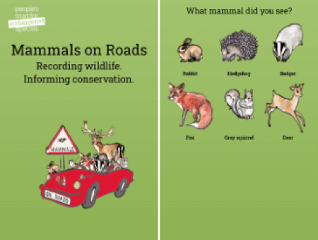 Living Magazines Mammals on Roads Wildlife Survey