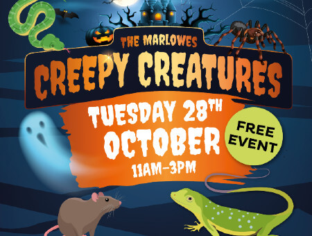 Marlowes Halloween animals 2025