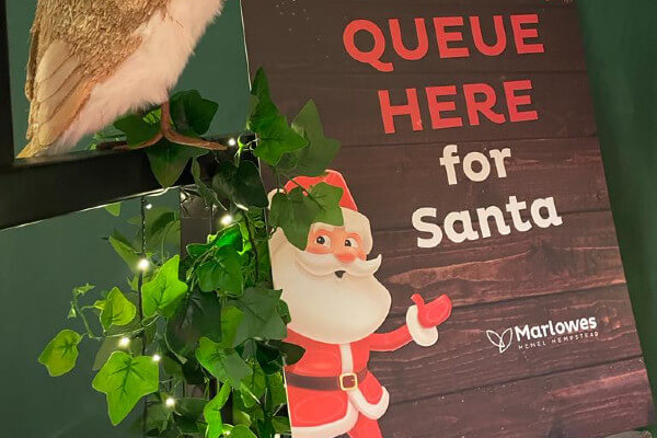 Living Magazines Marlowes Santa's Woodland Grotto