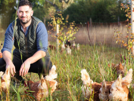 Max at Cheyneys with pasture-fed chickens at Hill Farm Ashridge