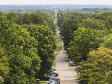 Monument Drive at Ashridge Estate