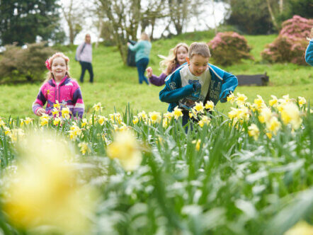 Living Magazines National Trust Easter adventures trail ©National Trust ImagesTrevor Ray Hart