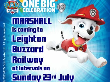 Living Magazines PAW Patrol Marshall cropped