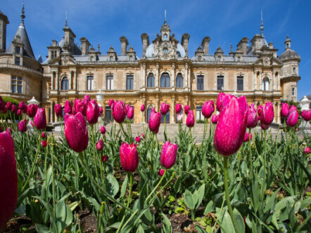 Living Magazines Parterre at Waddesdon Manor © Waddesdon, A Rothschild House & Gardens