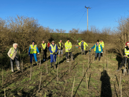 Living Magazines Plant Britain at the winding hole Wendover Canal