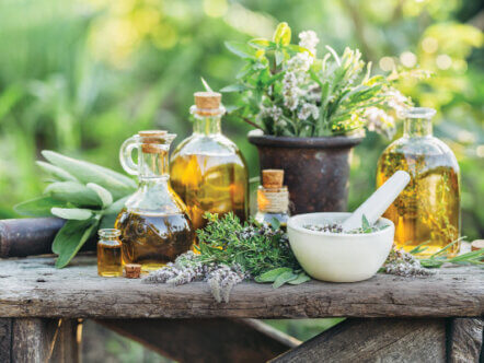 Fresh herbs from the garden and the different types of oils for massage and aromatherapy