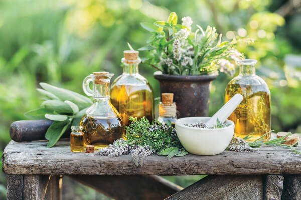 Fresh herbs from the garden and the different types of oils for massage and aromatherapy
