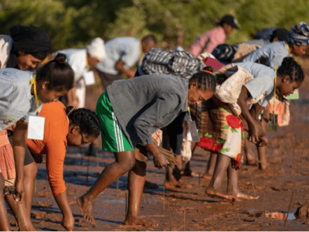 Living Magazines Planting day - Eden Reforestation Projects, Madagascar 2 - credit Tree-Nation
