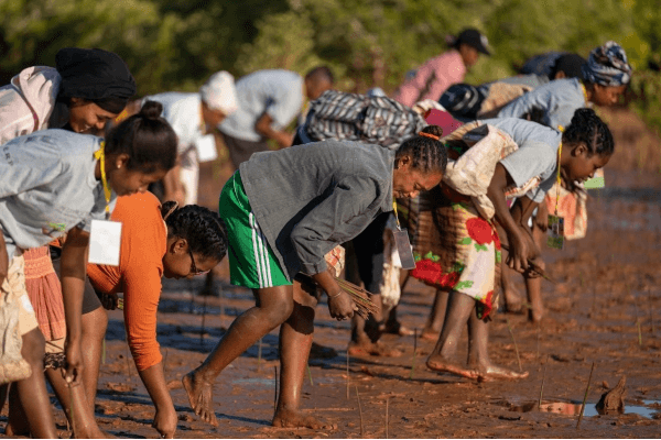 Living Magazines Planting day - Eden Reforestation Projects, Madagascar 2 - credit Tree-Nation