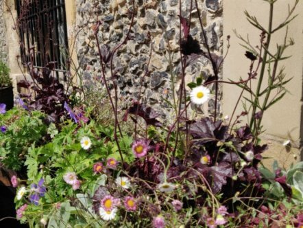 Living Magazines Pollinator Highway - credit Amanda Yorwerth