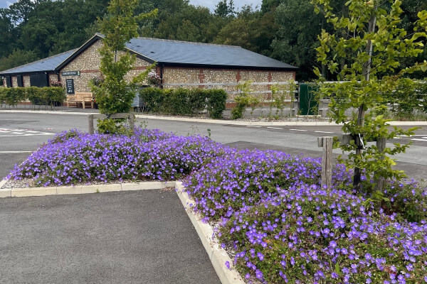 Living Magazines Poppy Fields Cemetery