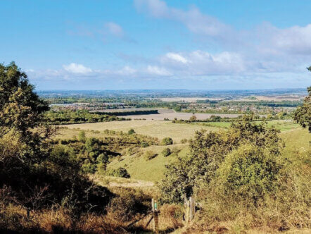 Ridgeway Run