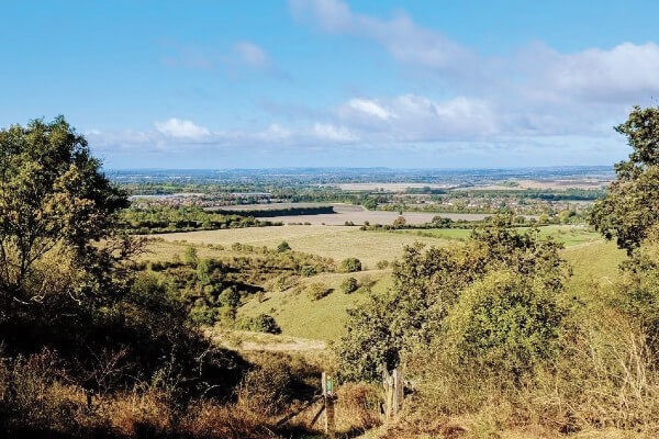Ridgeway Run
