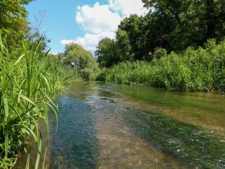 Living Magazines Climate Action River Gade at Cassiobury Park