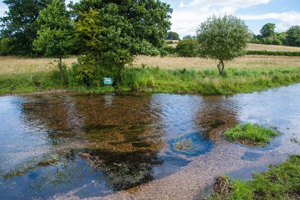 River Mimram (c) Peter Tatton
