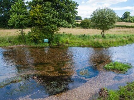 River Mimram (c) Peter Tatton