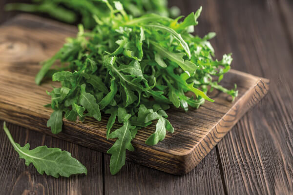 Rocket - Arugula