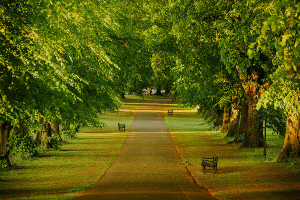 Rothamsted Park by SteveCollins