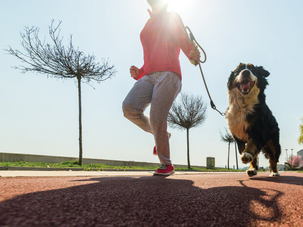 Living Magazines running dog