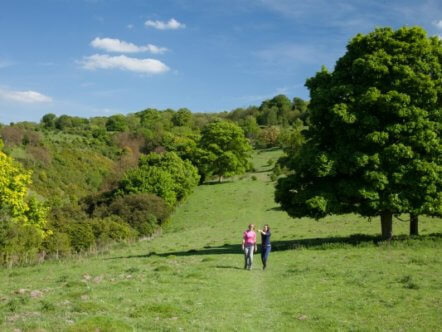 Living Magazines Social distance friendly walks in the Chilterns