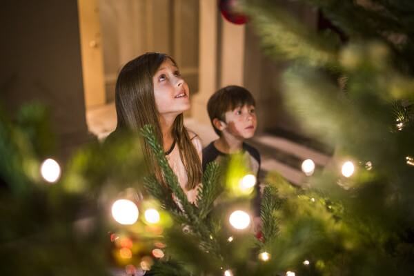 Soak up the festive magic at a National Trust place near you - credit National Trust Images - Rob Stothard