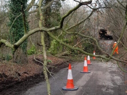 Living Magazines Storm Henk Damage