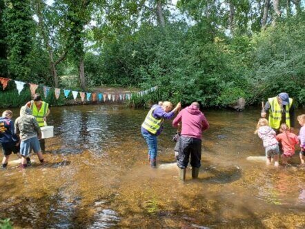 Stream dipping at Stanborough Park © Marissa Kodikara