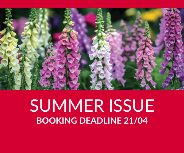 Summer booking deadline (600 × 500px)