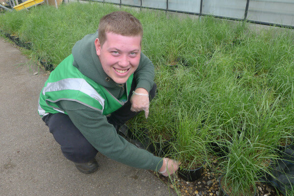 Living Magazines Sunnyside Rural Trust prepares for RHS Hampton Court Palace