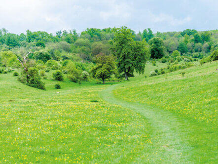 Tring Park - AdobeStock_269415989