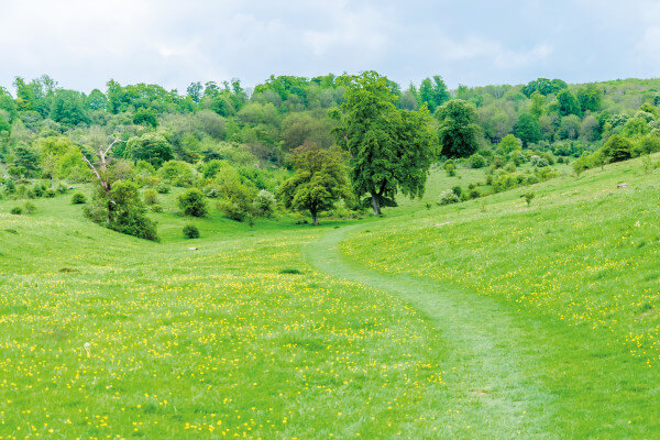 Tring Park - AdobeStock_269415989