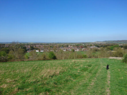 Living Magazines View over Tring from Hastoe path