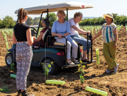 Vineyard at Bartlett's residential care home