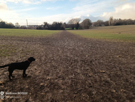 Living Magazines Walking in the Countryside Path widening (Will Lee, Penn Street Farm)
