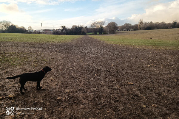 Living Magazines Walking in the Countryside Path widening (Will Lee, Penn Street Farm)