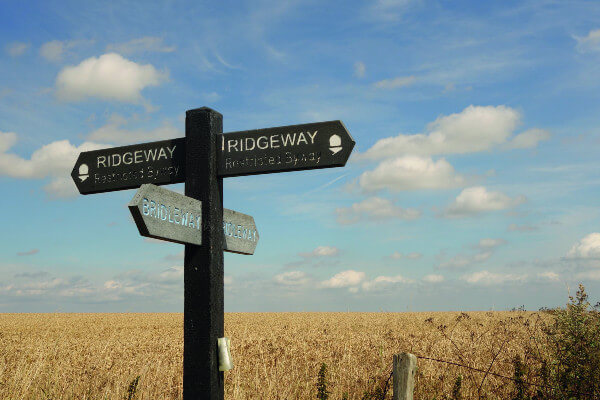 Living Magazines Wendover Woods Walk