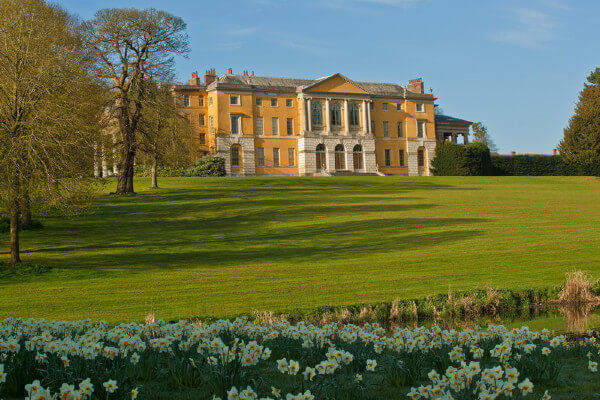 Living Magazines West Wycombe Park Daffodil Walk