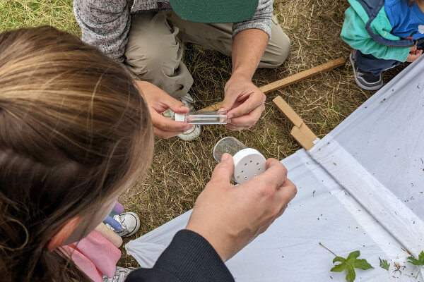 Living Magazines Wildfest Children's nature activity