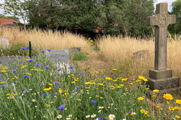 Living Magazines Wildflowers at Rectory Lane Cemetery