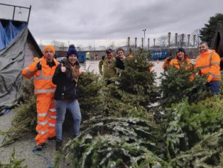 Living Magazines Christmas Tree Recycling Day
