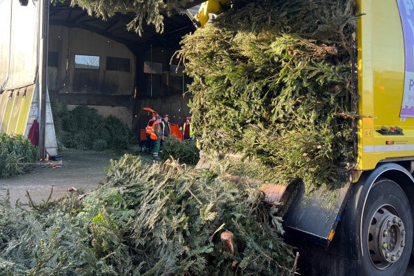 Living Magazines christmas-tree-recycling