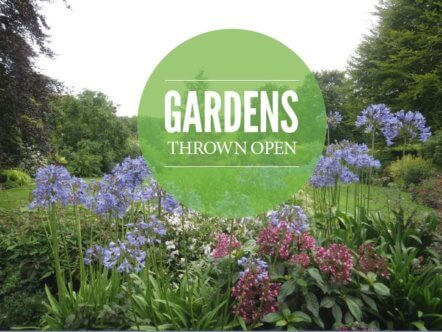 Berkhamsted and Tring Living Magazines Open Gardens