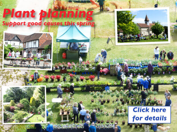 Berkhamsted and Tring Living Magazines Planting for Spring