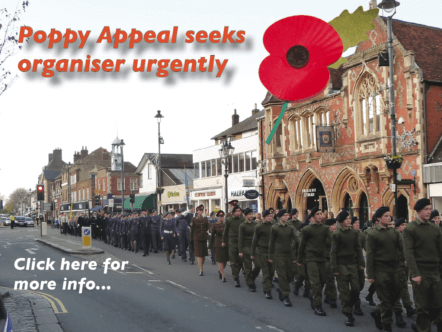 Berkhamsted and Tring Living Magazines Poppy Appeal