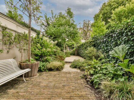 minimalist-garden-amidst-trees-against-sky