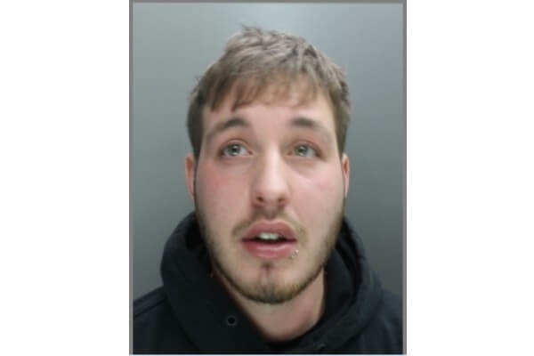 Living Magazines Wanted Bradley Reynolds